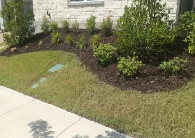 Excellent landscape services