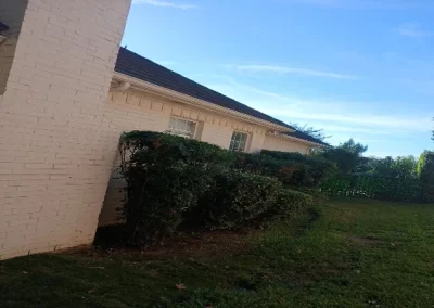 Exceptional landscape services